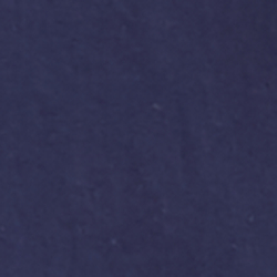Cruise Navy/White