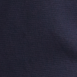 Cruise Navy