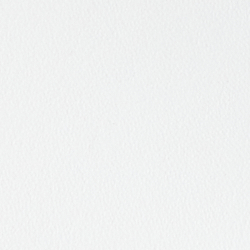 RL White/Modern Gold