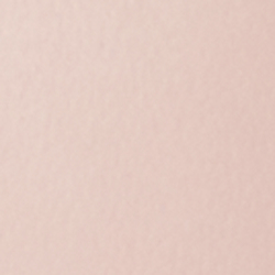 Ballet Pink