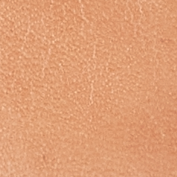 Nude/Vanilla