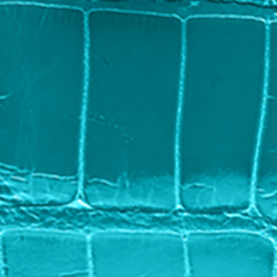 Turquoise #3149