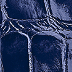 Strahlendes Navy