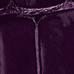 Purple Label