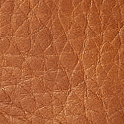Light Tan/Brown