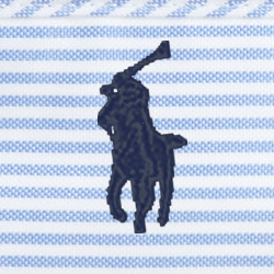 Blue/White