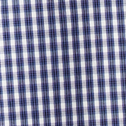 Blue/White Plaid