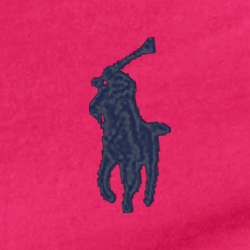 Sport Pink