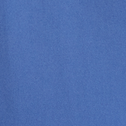 Bastille Blue