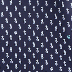 Refined Navy