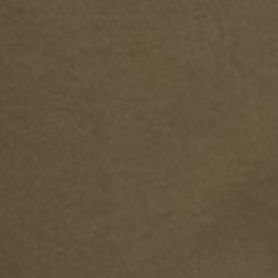 Expedition Olive