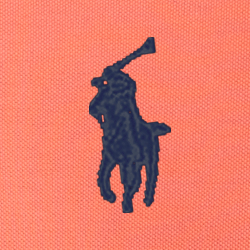 Rot
