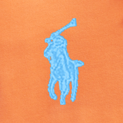 Le sweat à capuche RL en molleton