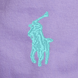 Le sweat à capuche RL en molleton