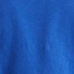 Blue Polo Print
