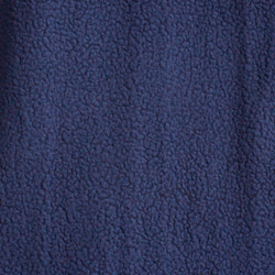 Cruise Navy