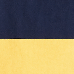 Navy/Gold