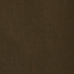 Canopy Olive