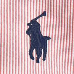 Fun Shirt