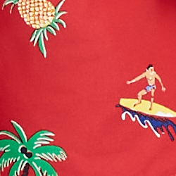 Tropical Surfer