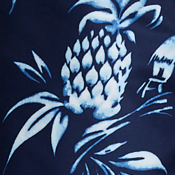 Pineapple Hut