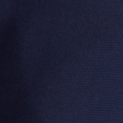 Cruise Navy