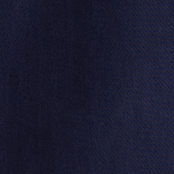 Cruise Navy