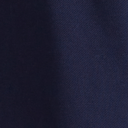 Cruise Navy