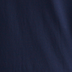 Cruise Navy