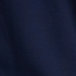 Cruise Navy