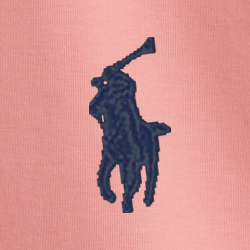 Desert Rose