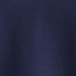 Cruise Navy