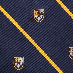 Navy/Gold