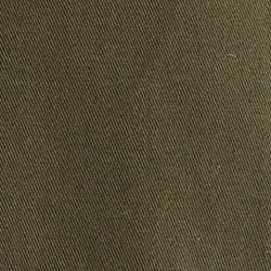Company Olive