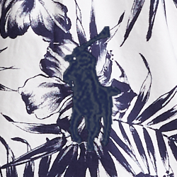 Monotone Hibiscus