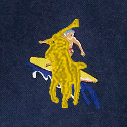 Tropical Surfer
