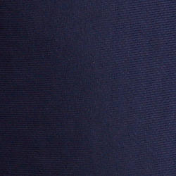 Cruise Navy