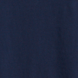 Cruise Navy
