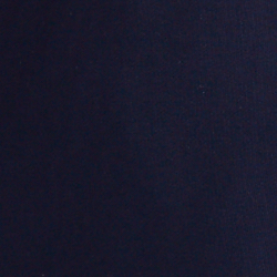 Cruise Navy