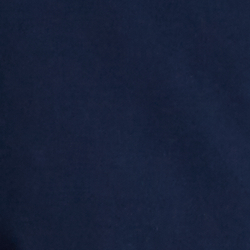 Cruise Navy