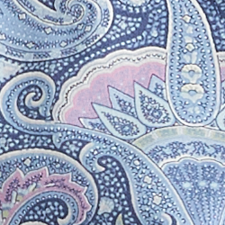 Blue Paisley