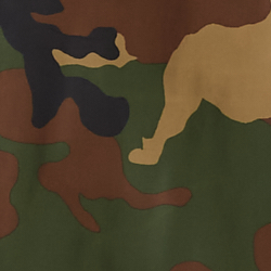 Surplus Camo
