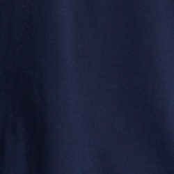 Cruise Navy