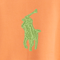 Le sweat à capuche RL en molleton