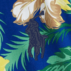 Royal Hibiscus Fronds Pri