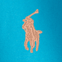 Le sweat à capuche RL en molleton