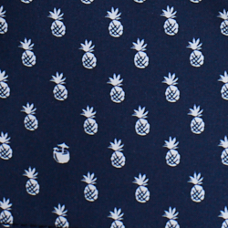 Punchy Pineapple