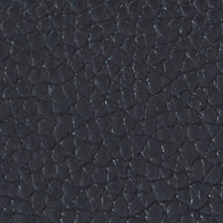 Lauren Navy/ Belt Print