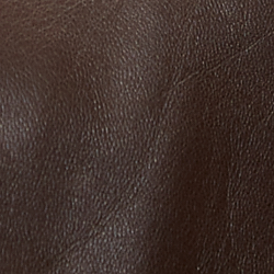 Luggage Brown