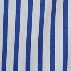 Blue/White
